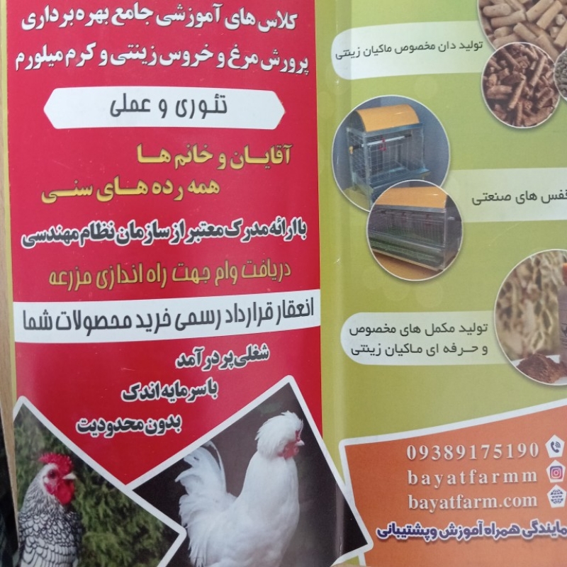 آموزش طیور زینتی و کرم میلورم